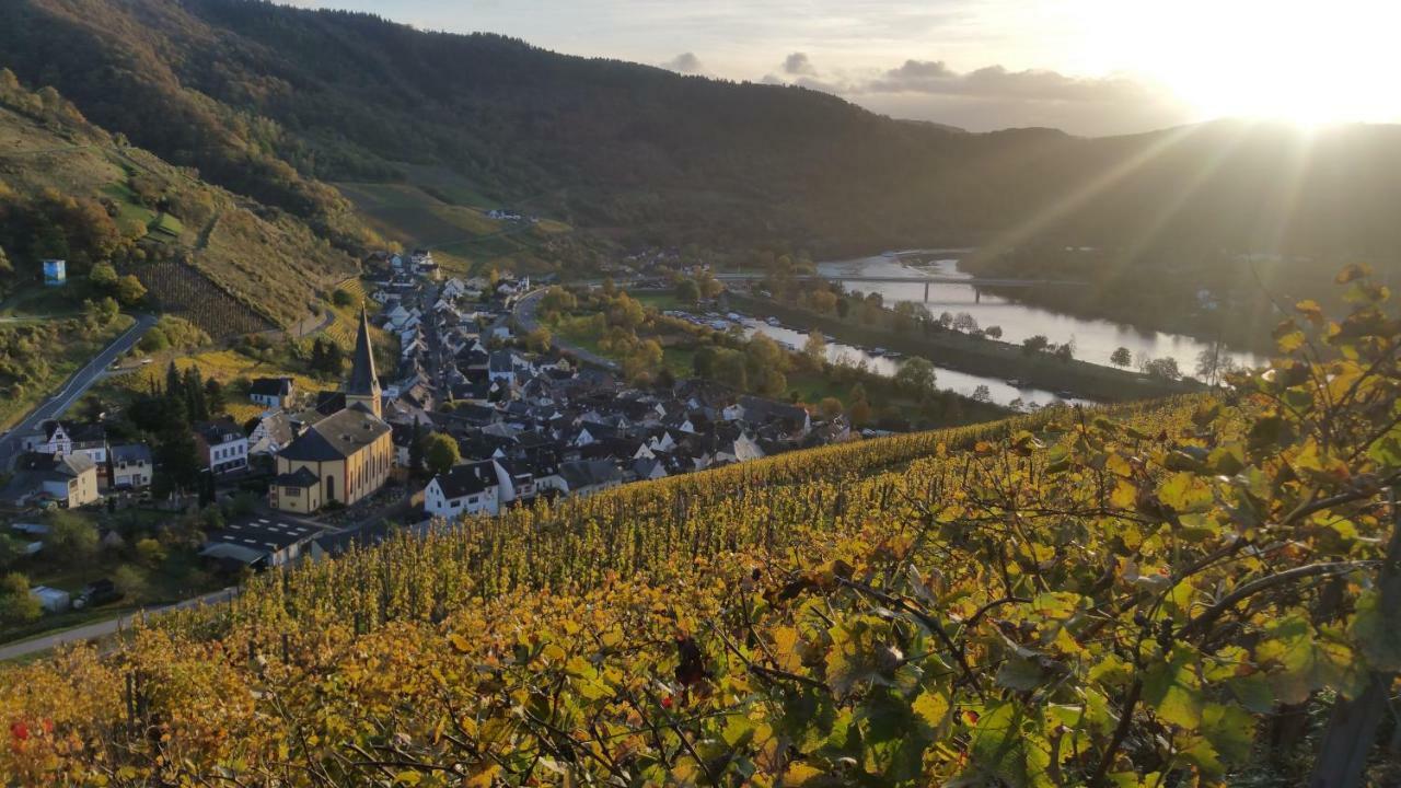 Haus Madle Apartment Cochem Ngoại thất bức ảnh